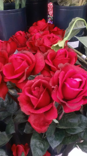 Craft Store «Hobby Lobby», reviews and photos, 1855 Montgomery Hwy #100, Hoover, AL 35244, USA