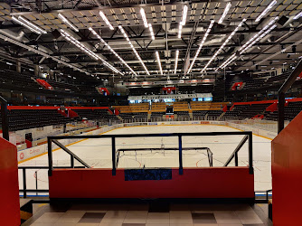 Hägglunds Arena