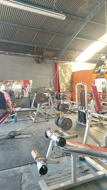 CAPRA GYM - Loma Bonita, 37420 León, Guanajuato, Mexico