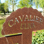 Photo n°1 de l'avis de Giacomo.a fait le 22/04/2019 à 12:24 sur le  Cavalier Uliva à Fossalta