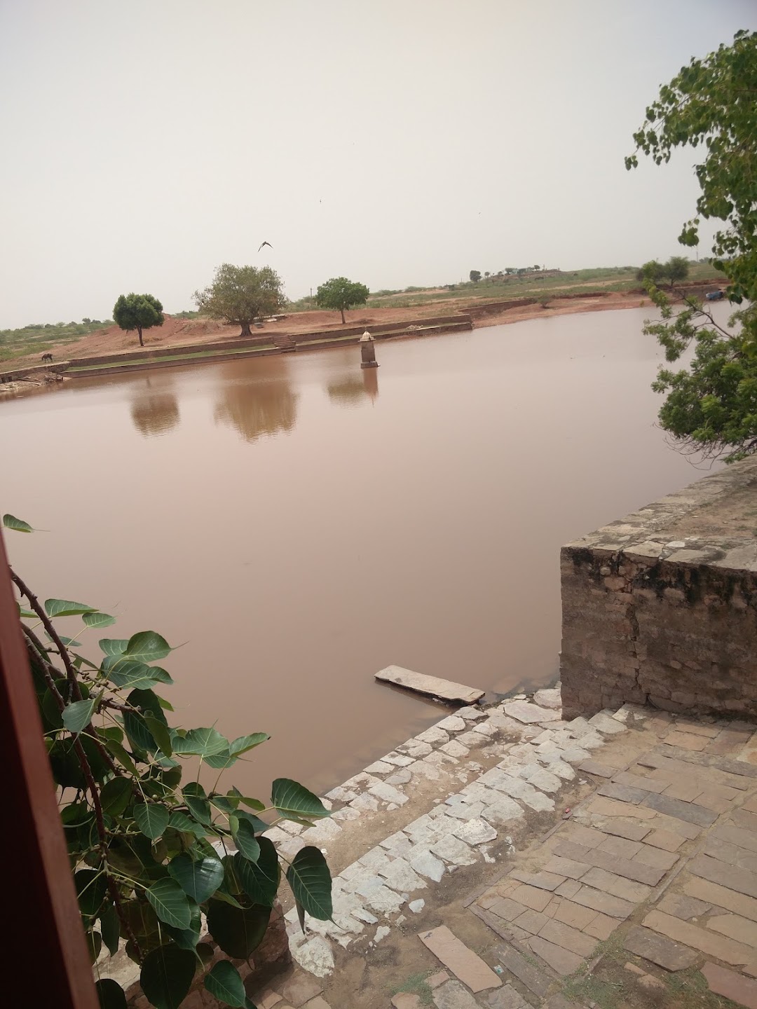 लाल भाटी