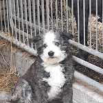 Photo n°3 de l'avis de Tully.u fait le 08/08/2021 à 21:41 sur le  Agriturismo cascina Lert à Marone