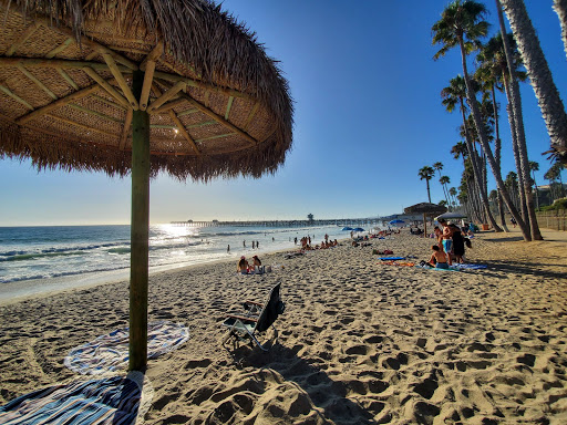 Sea Horse Resort image