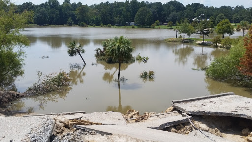 Casino «Cash Magic Lucky Magnolia», reviews and photos, 52396 LA-16, Denham Springs, LA 70706, USA