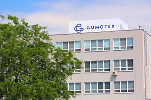 Gumotex Inc. image