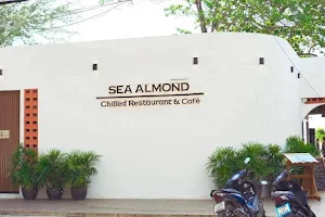 Sea Almond Chilled Restaurant & Cafe image