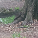 Photo n°2 de l'avis de Mitea.i fait le 30/04/2022 à 11:49 sur le  Chiosco della Montagnetta à Vedano al Lambro