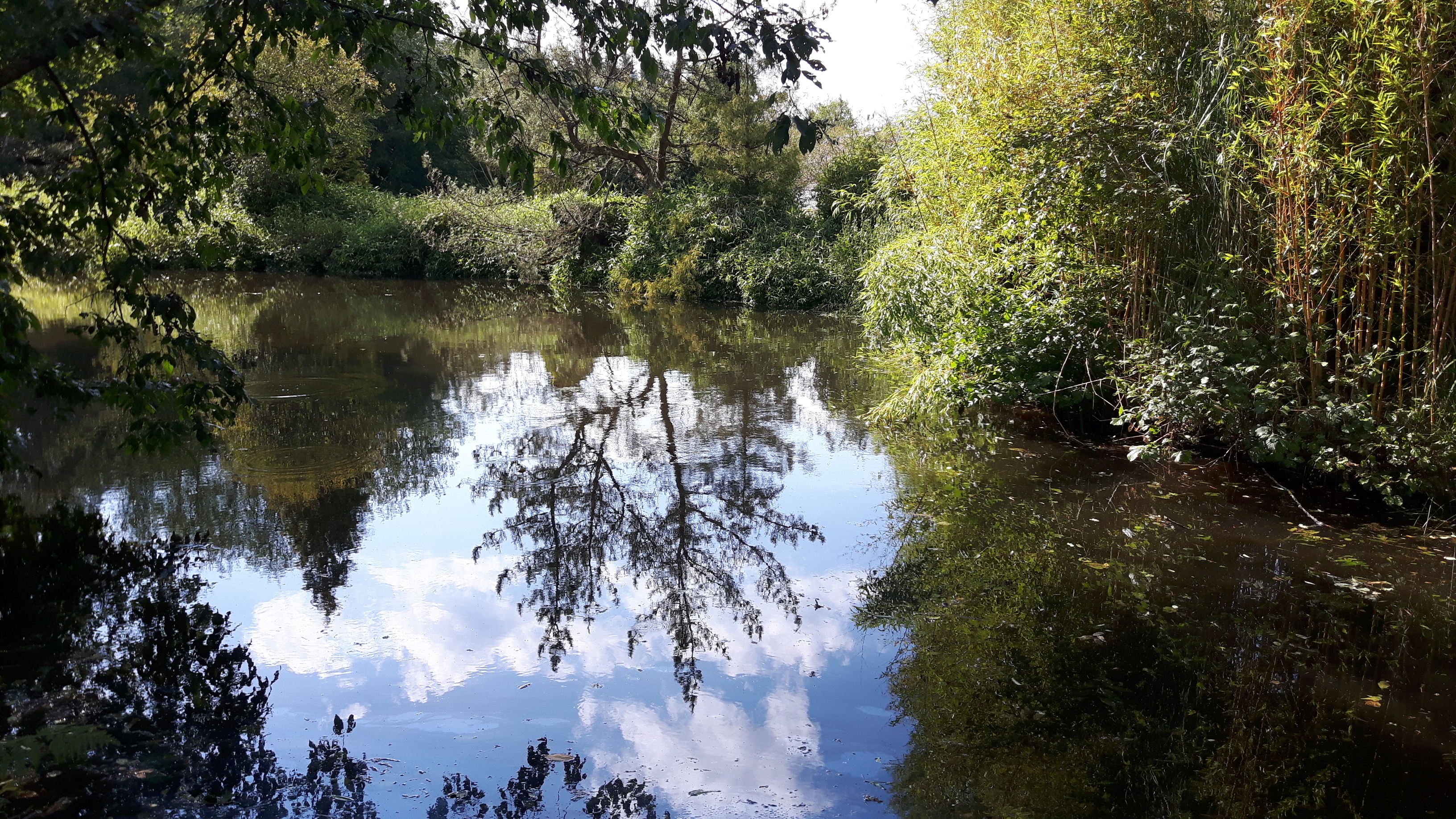 Photo n° 12 de l'avis de Alain.i fait le 24/07/2018 à 13:37