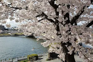Sumida River image