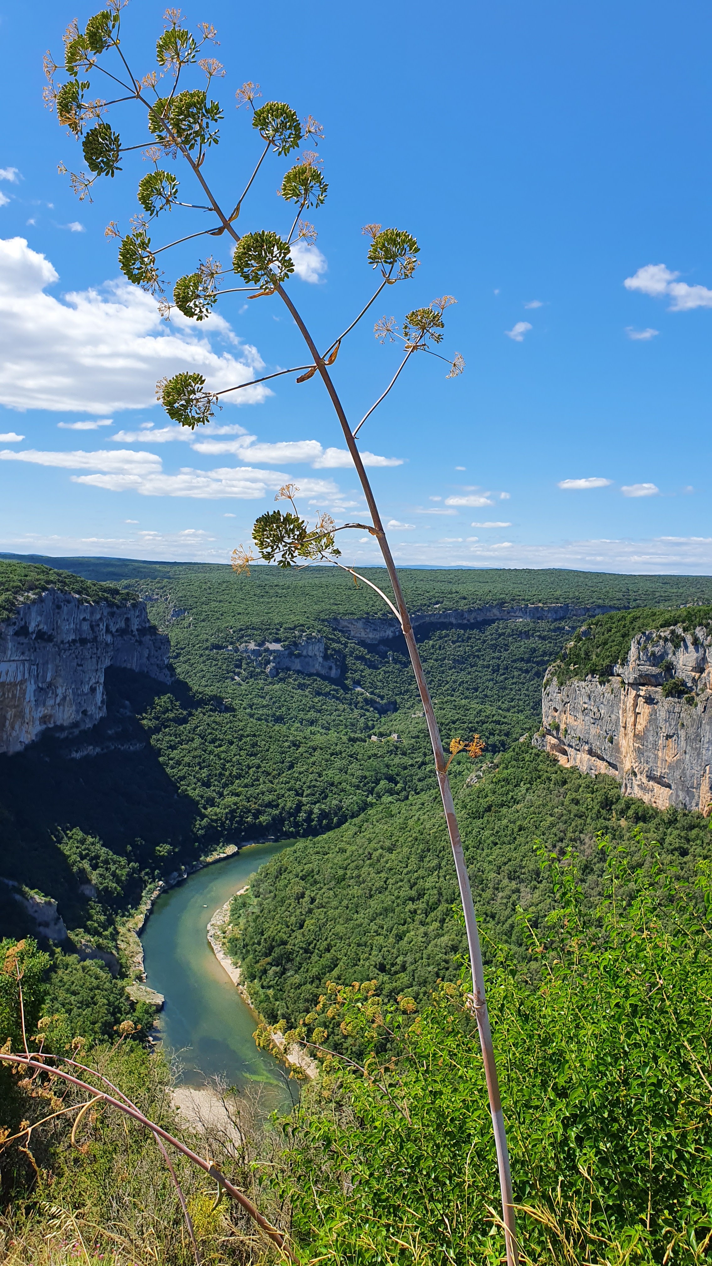Photo n° 4 de l'avis de Solvaine.a fait le 22/06/2020 à 16:00