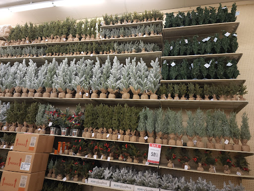 Craft Store «Hobby Lobby», reviews and photos, 2480 Supercenter Dr NE, Kannapolis, NC 28083, USA