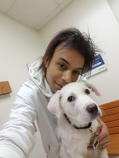 Pet Supply Store «PetSmart», reviews and photos, 6060 Long Prairie Rd, Flower Mound, TX 75028, USA