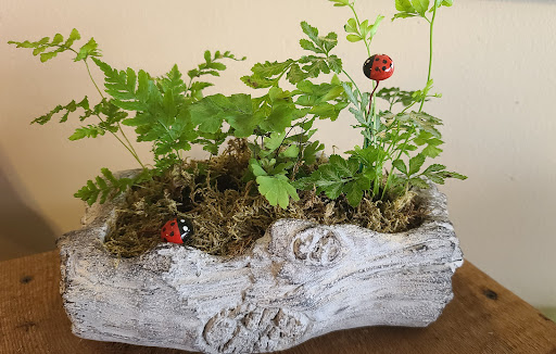 Florist «Shananne Cain Florist Inc», reviews and photos, 123 N Central Ave, Umatilla, FL 32784, USA