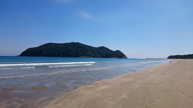 国天然記念物 石波の海岸樹林(日南海岸国定公園)