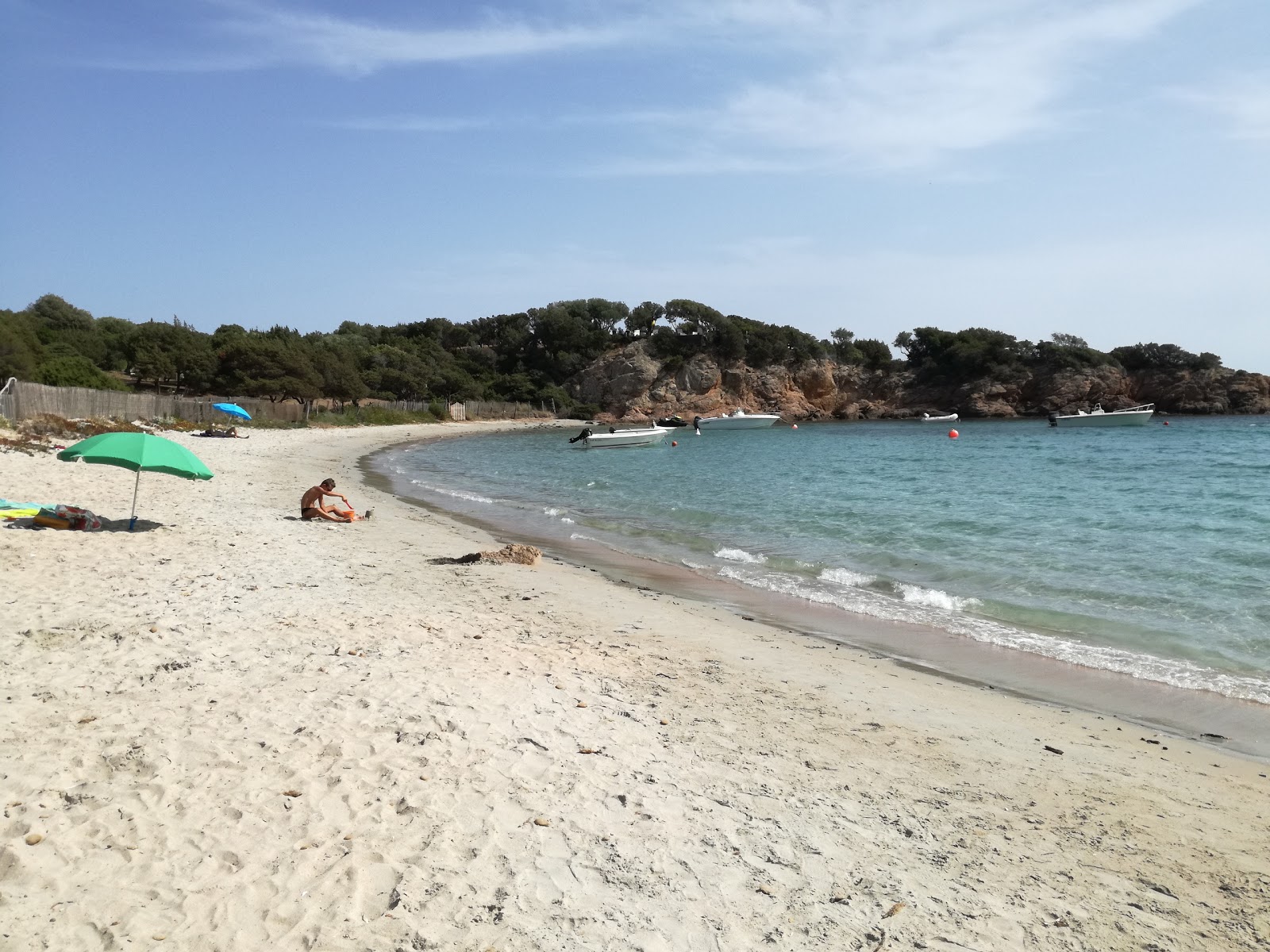 Zdjęcie Plage de Furnellu położony w naturalnym obszarze