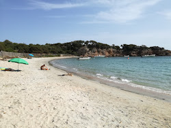 Photo de Plage de Furnellu protégé par des falaises