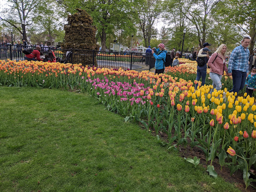 Museum «Holland Museum», reviews and photos, 31 W 10th St, Holland, MI 49423, USA