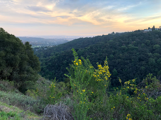 Leona Canyon Regional Open Space Preserve