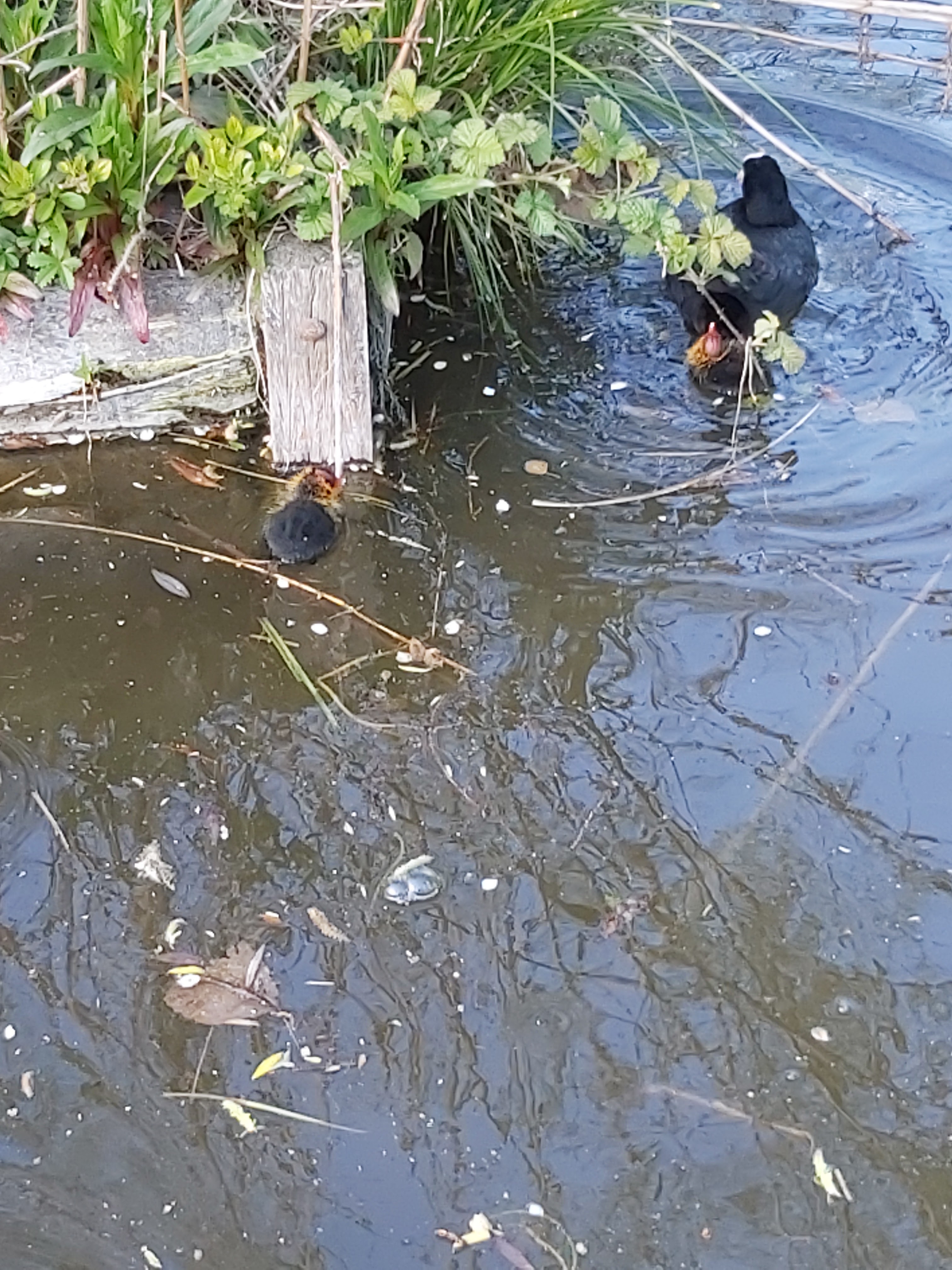 Photo n° 1 de l'avis de Ludovic.a fait le 27/05/2021 à 13:29