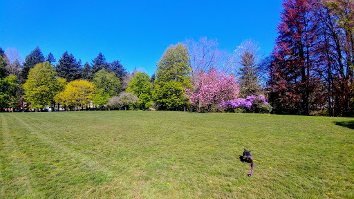 Park «Creston Park», reviews and photos, SE 44th Ave & Powell Blvd, Portland, OR 97206, USA