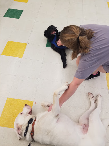 Pet Supply Store «Pet Supplies Plus», reviews and photos, 228 Gadsden Hwy, Birmingham, AL 35235, USA