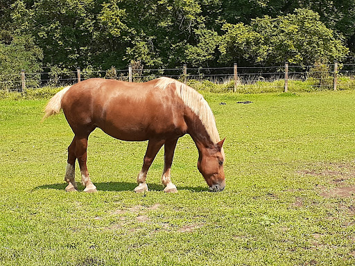 National Park «Oxon Cove Park & Oxon Hill Farm», reviews and photos, 6411 Oxon Hill Rd, Oxon Hill, MD 20745, USA