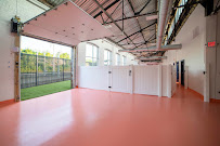 Paw Haven - Photo 4 - Car repair in New Haven, CT, New Haven