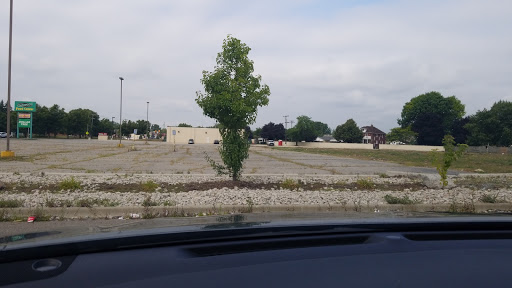 Dollar Store «Dollar Tree», reviews and photos, 3610 Oakwood, Melvindale, MI 48122, USA