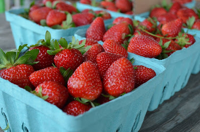 Main Street Farmers Market