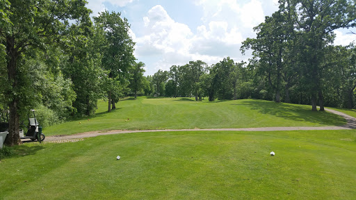 Golf Course «Mississippi National Golf Links», reviews and photos, 409 Golf Links Dr, Red Wing, MN 55066, USA