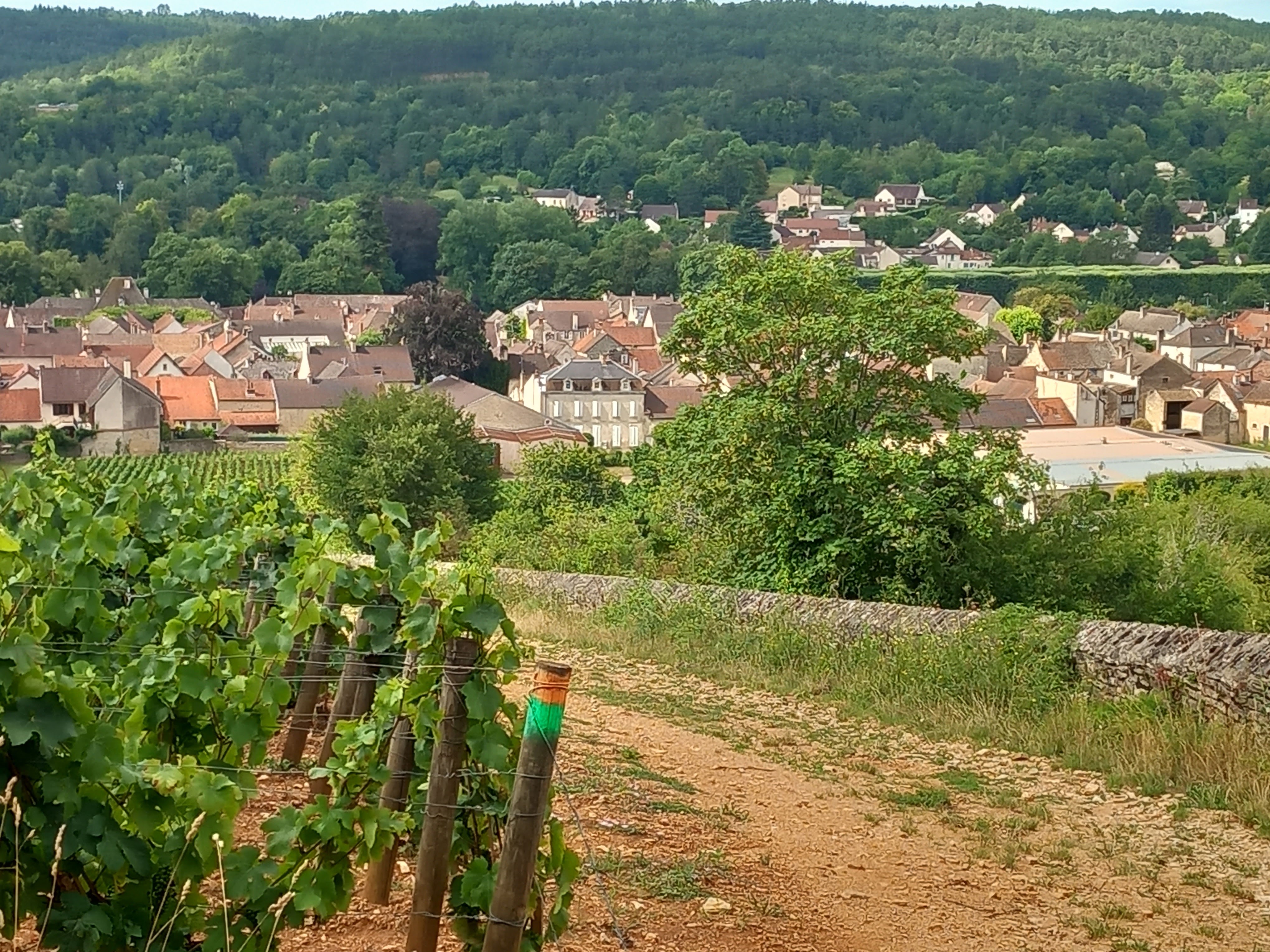 Photo n° 1 de l'avis de Victor.e fait le 31/07/2023 à 11:46