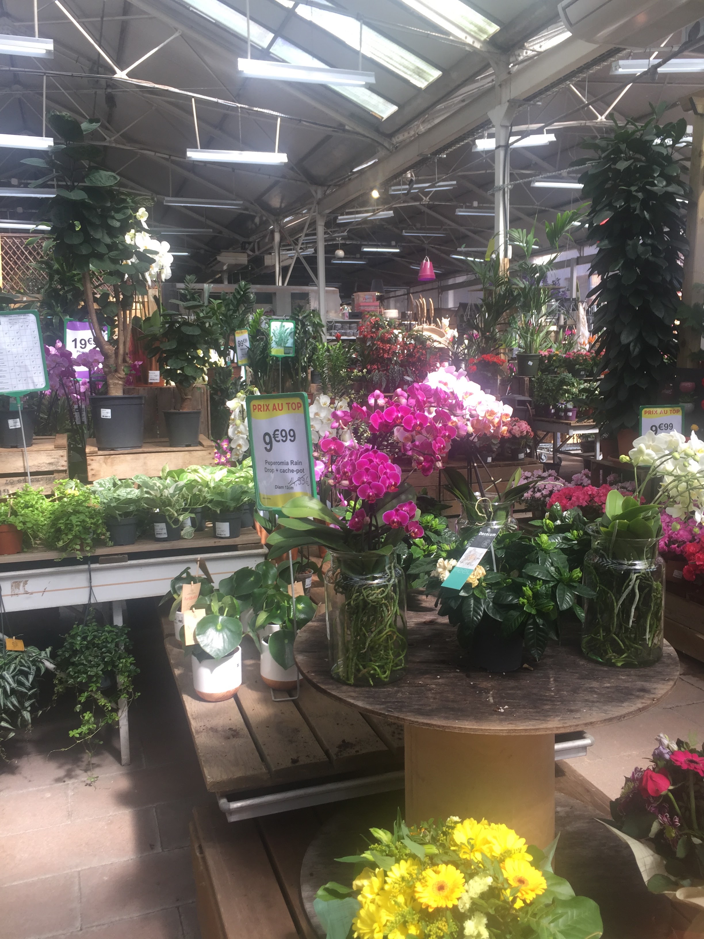 Photo n° 2 de l'avis de Laeti. fait le 10/04/2019 à 09:08