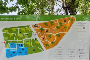 Parco Naturale di Cervia image