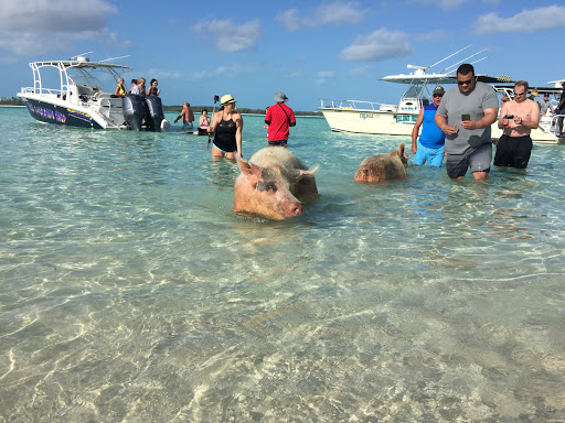 Travel Agency «Alpha World Travel Honeymoons and Destination Weddings», reviews and photos, 107 Edinburgh S Dr #114, Cary, NC 27511, USA