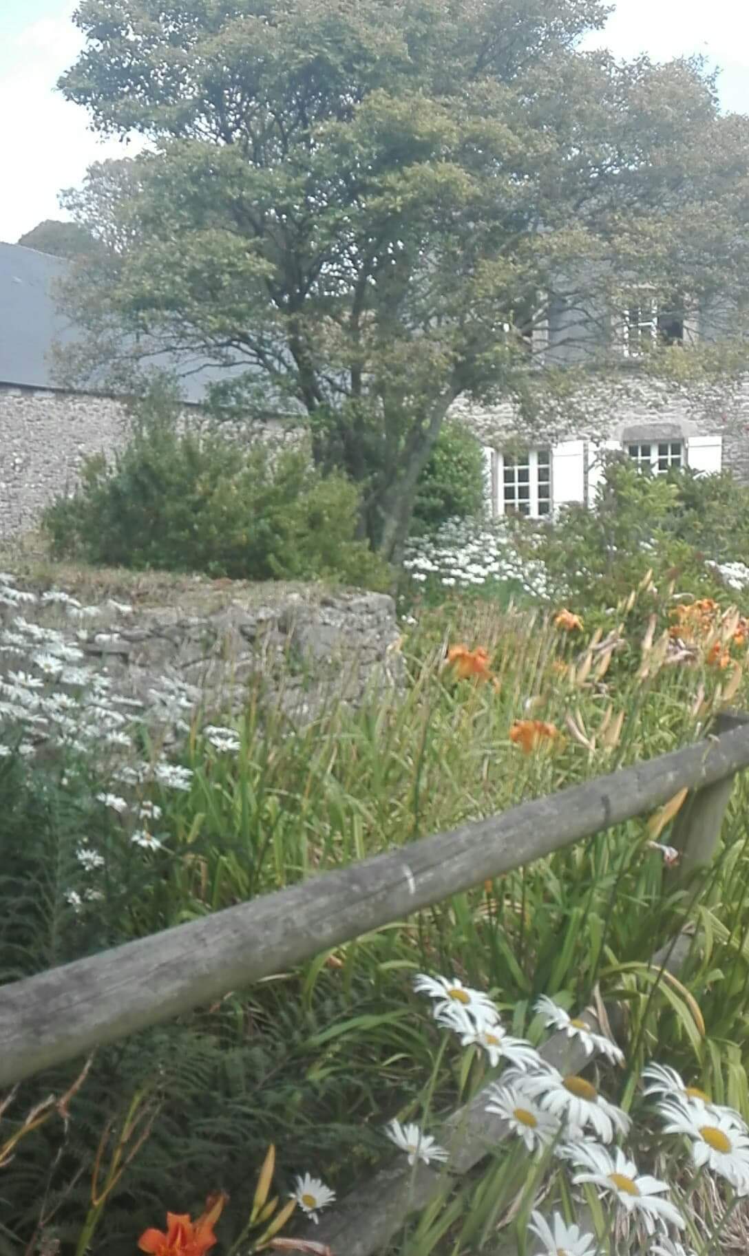 Photo n° 1 de l'avis de Nad.n fait le 23/07/2019 à 17:07