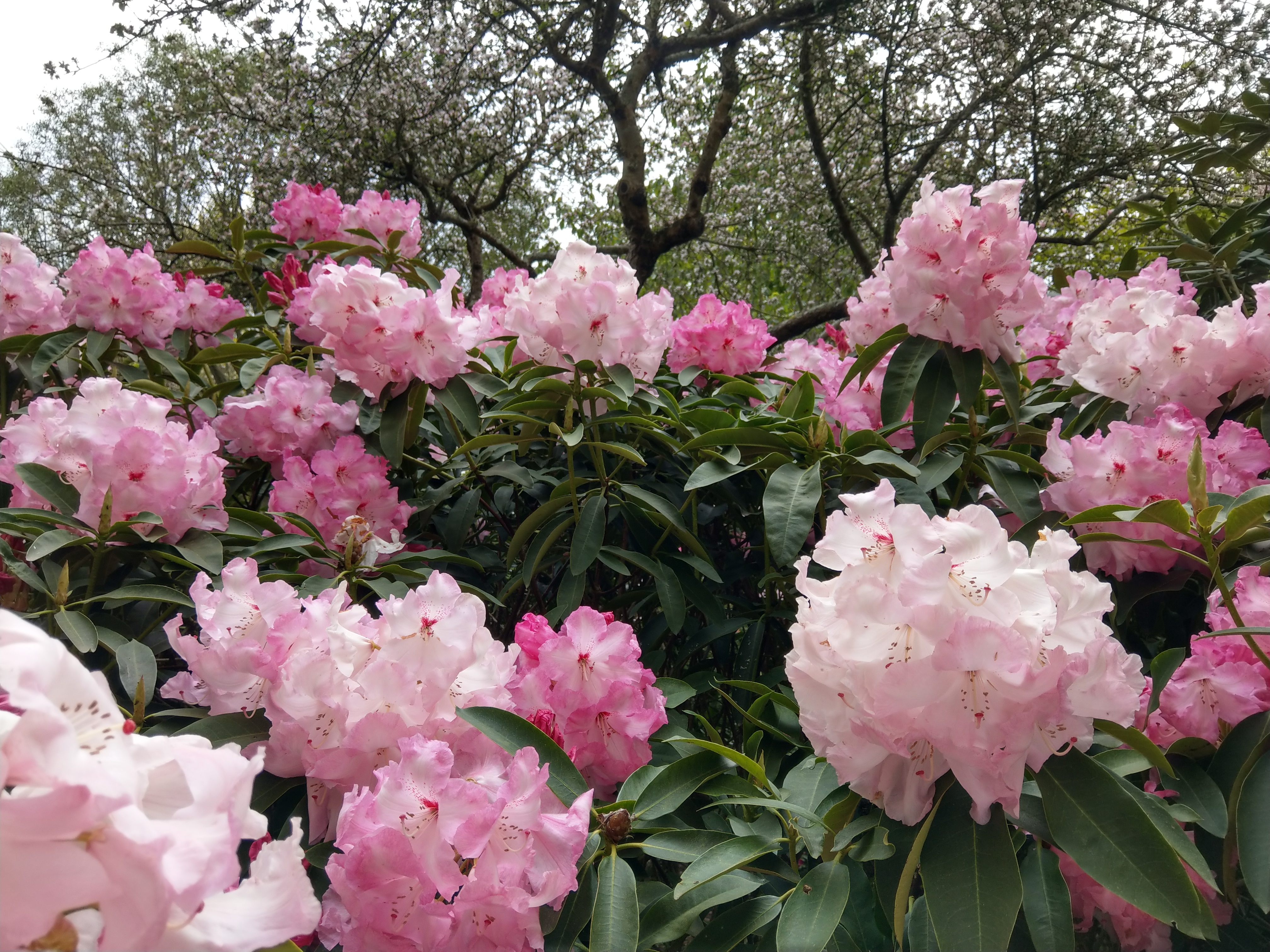 Photo n° 4 de l'avis de Françoise.A fait le 09/05/2021 à 19:38
