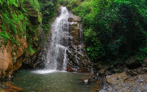 Las Pailas del Oso