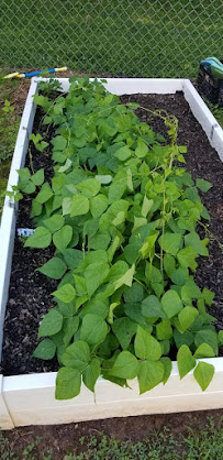 Young Children's Learning Center - Photo 6 - Car repair in Mocksville, NC, Winston-Salem