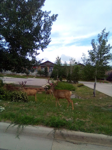 Shopping Mall «Bergen Village Shopping Center», reviews and photos, 1240 Bergen Pkwy, Evergreen, CO 80439, USA
