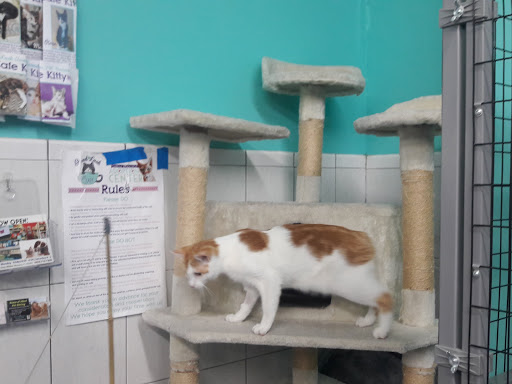 Thrift Store «Boomerangs Thrift Store», reviews and photos, 2365 Wilton Dr, Wilton Manors, FL 33305, USA