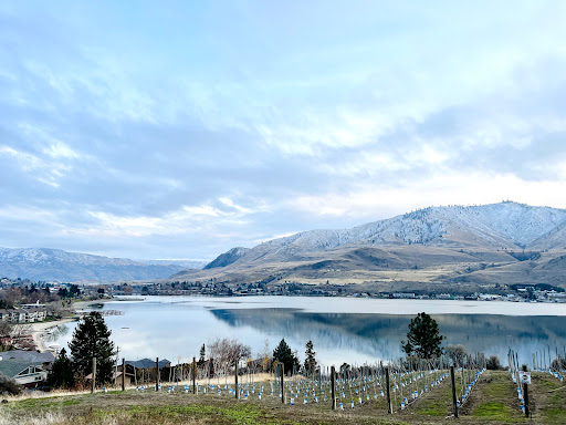Winery «Vin Du Lac Winery», reviews and photos, 105 WA-150, Chelan, WA 98816, USA