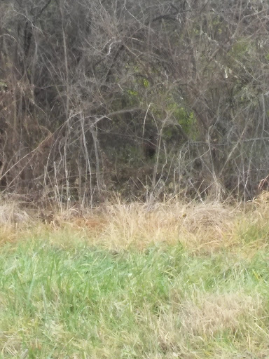 Nature Preserve «Rush Run Wild Life Area», reviews and photos, 1989 Northern Rd, Somerville, OH 45064, USA