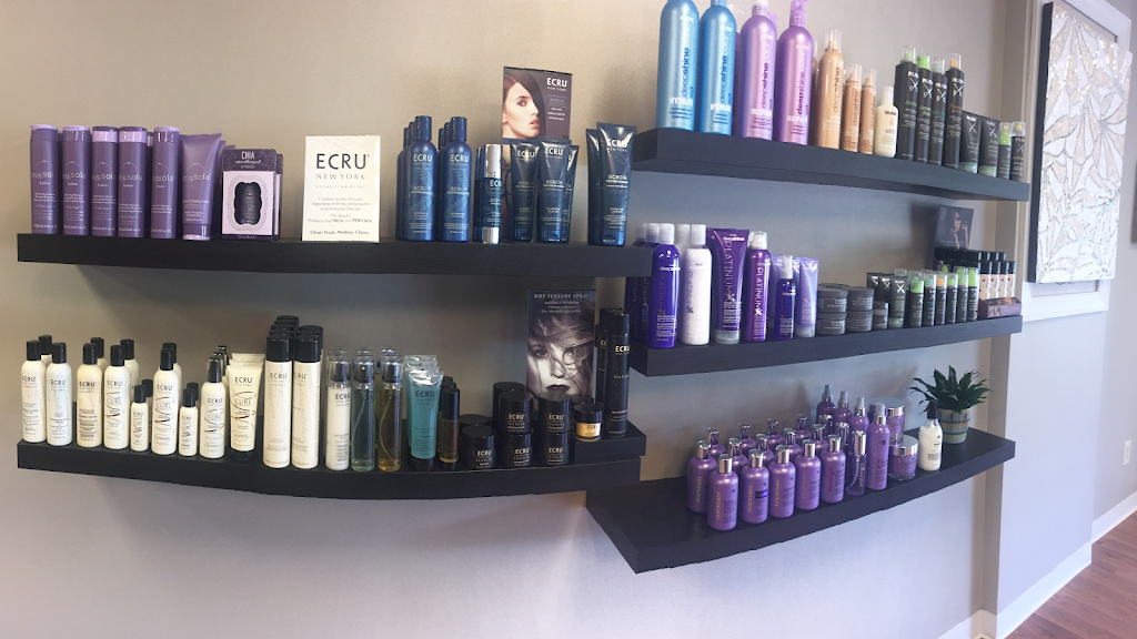 Splendor Salon 19341