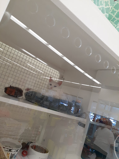 Pet Supply Store «Petco Animal Supplies», reviews and photos, 2765 Papermill Rd G-1, Reading, PA 19610, USA