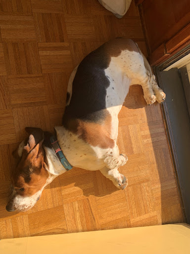 Insurance Agency «Crawford Yingling Insurance», reviews and photos