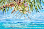 Amanda Johnson Gallery