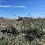 Photo n° 2 de l'avis de Boris. fait le 27/10/2022 à 11:41 pour Plage des Aresquiers à Frontignan