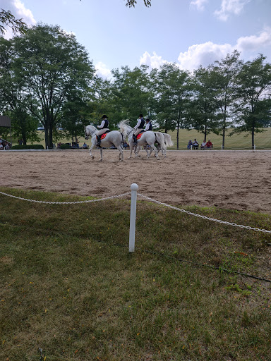 Tourist Attraction «The Tempel Lipizzans», reviews and photos, 17000 W Wadsworth Rd, Old Mill Creek, IL 60083, USA