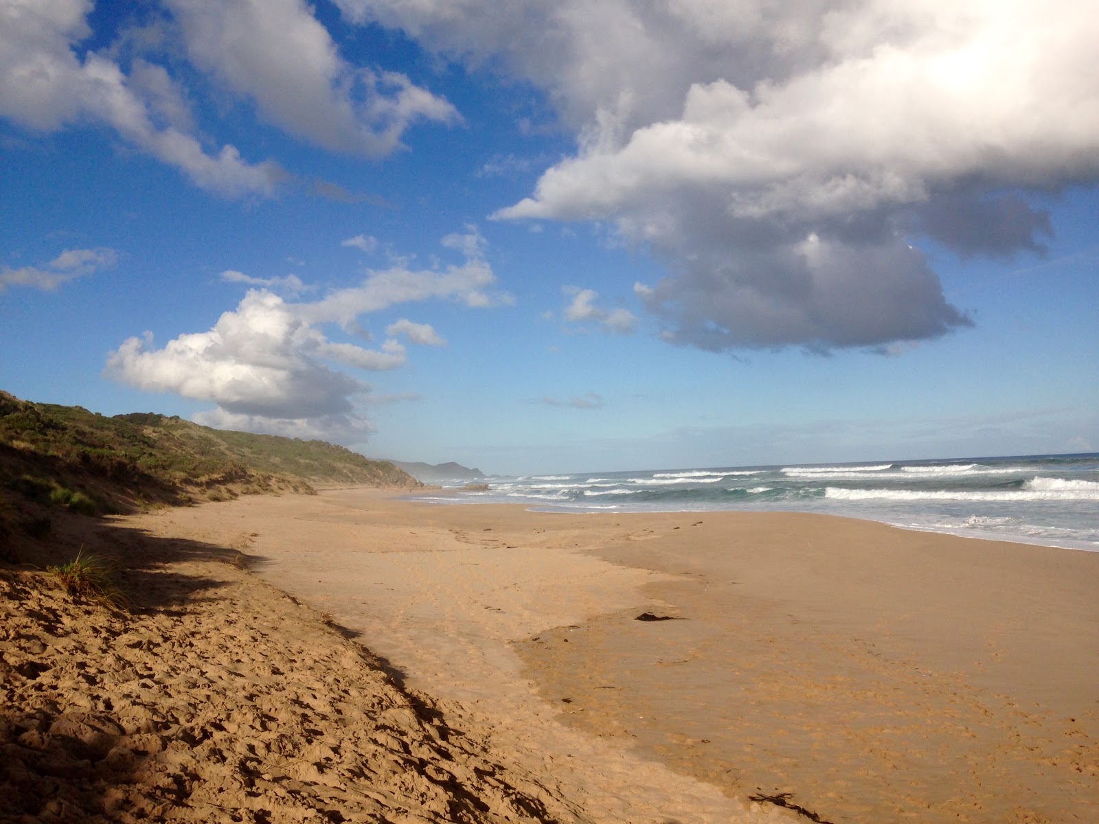 Johanna Beach的照片 位于自然区域
