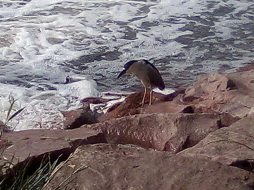 Park «Commons Park», reviews and photos, 2101 15th St, Denver, CO 80202, USA